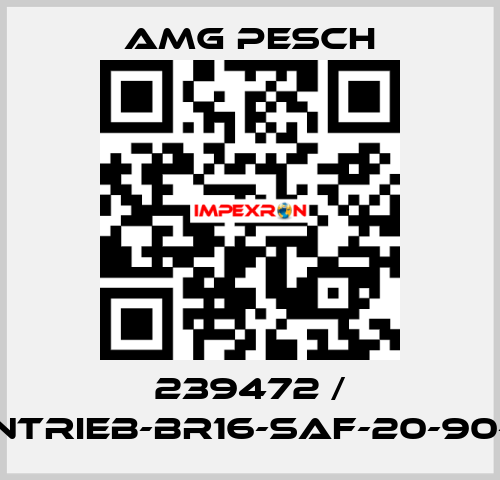 239472 / AMG-Antrieb-BR16-SAF-20-90-01-n=12 AMG Pesch