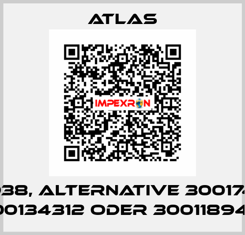 RIV 938, alternative 300174793, 300134312 oder 300118945  Atlas