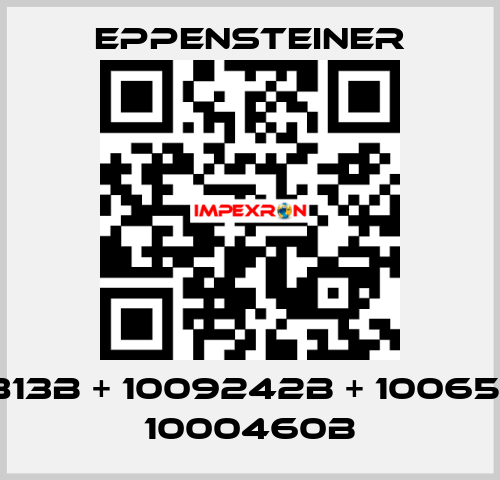 1058813B + 1009242B + 1006505B + 1000460B Eppensteiner