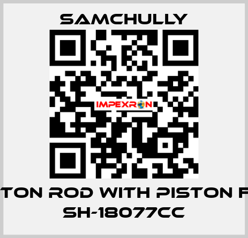 Piston rod with piston for SH-18077CC Samchully