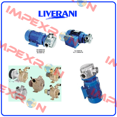 Casing with feet (Pos.5) for EP70 INOX Liverani