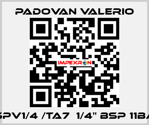 VSPV1/4 /TA7  1/4" BSP 11bar PADOVAN VALERIO