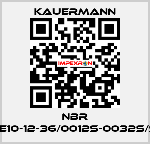 NBR Buckle10-12-36/0012S-0032s/SHA70 Kauermann