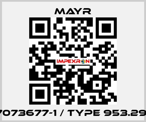 7073677-1 / Type 953.291 Mayr