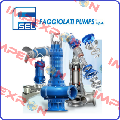 G27T3T2-J6AA0 Faggiolati