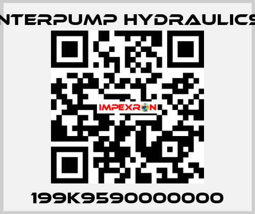 199K9590000000 Interpump hydraulics