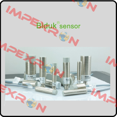 I1CF-M1808P Biduk