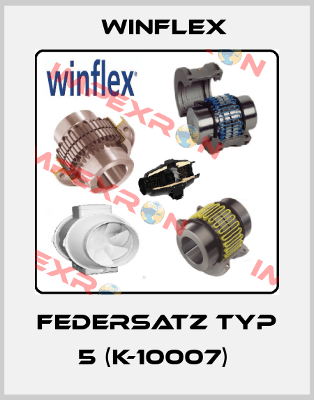 Federsatz Typ 5 (K-10007)  Winflex
