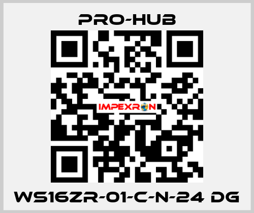 WS16ZR-01-C-N-24 DG Pro-Hub