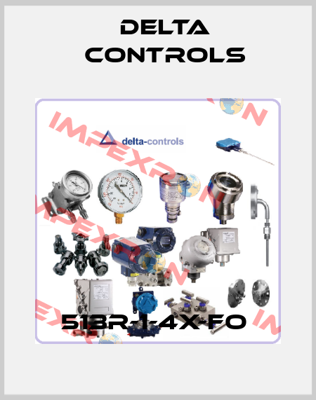 513R-1-4X-FO  Delta Controls