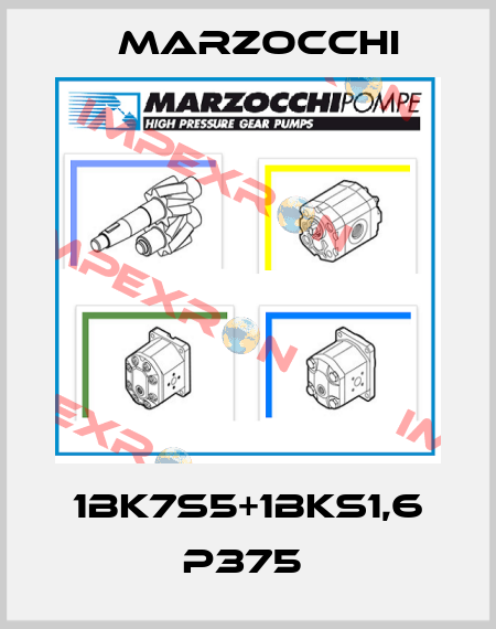 1BK7S5+1BKS1,6 P375  Marzocchi