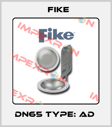 DN65 Type: AD  FIKE