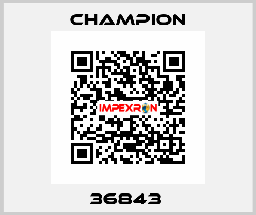36843  Champion