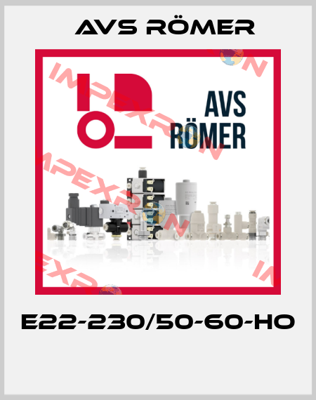 E22-230/50-60-HO  Avs Römer