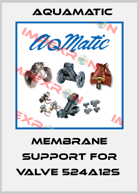 membrane support for valve 524a12s  AquaMatic