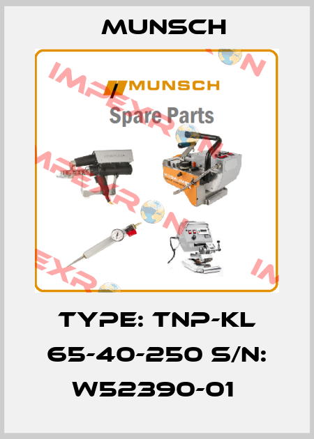 Type: TNP-KL 65-40-250 S/N: W52390-01  Munsch
