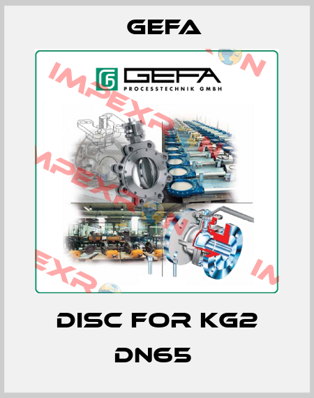 Disc for KG2 DN65  Gefa
