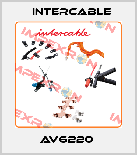 AV6220  Intercable