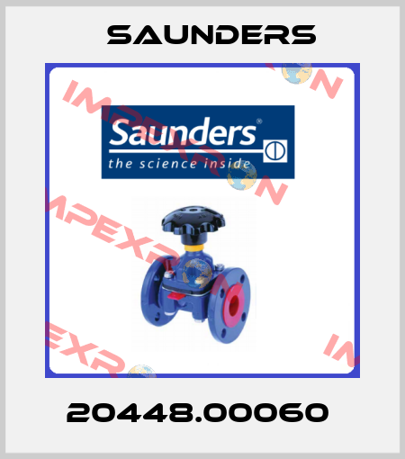 20448.00060  Saunders