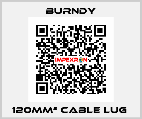 120mm² cable lug  Burndy