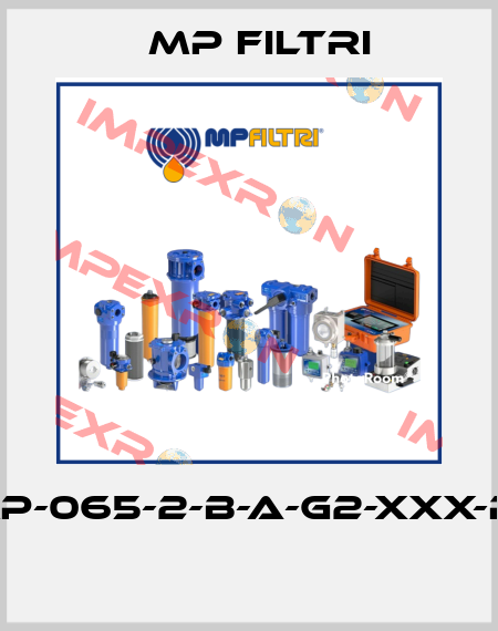 FMP-065-2-B-A-G2-XXX-P01  MP Filtri