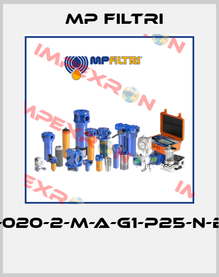 MPT-020-2-M-A-G1-P25-N-B-P01  MP Filtri