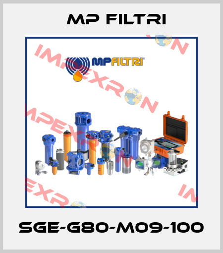 SGE-G80-M09-100 MP Filtri