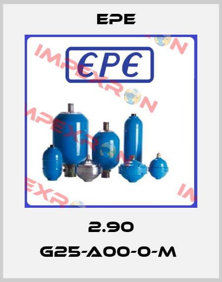 2.90 G25-A00-0-M  Epe