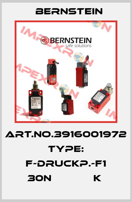 Art.No.3916001972 Type: F-DRUCKP.-F1 30N             K  Bernstein