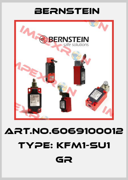 Art.No.6069100012 Type: KFM1-SU1 GR Bernstein