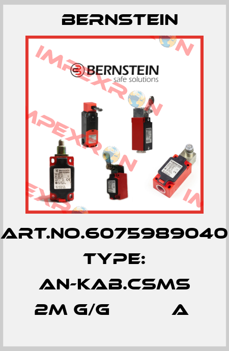 Art.No.6075989040 Type: AN-KAB.CSMS 2M G/G           A  Bernstein