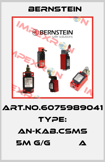 Art.No.6075989041 Type: AN-KAB.CSMS 5M G/G           A  Bernstein