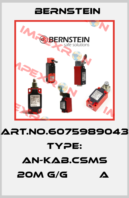 Art.No.6075989043 Type: AN-KAB.CSMS 20M G/G          A  Bernstein