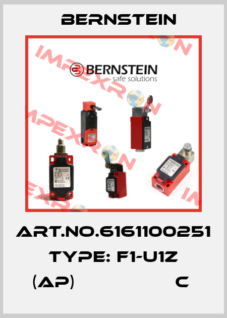 Art.No.6161100251 Type: F1-U1Z (AP)                  C  Bernstein