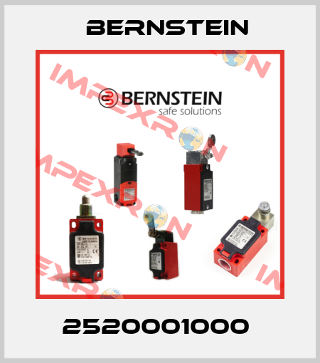 2520001000  Bernstein