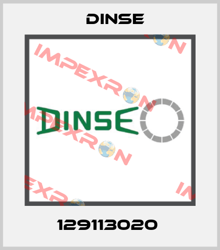 129113020  Dinse