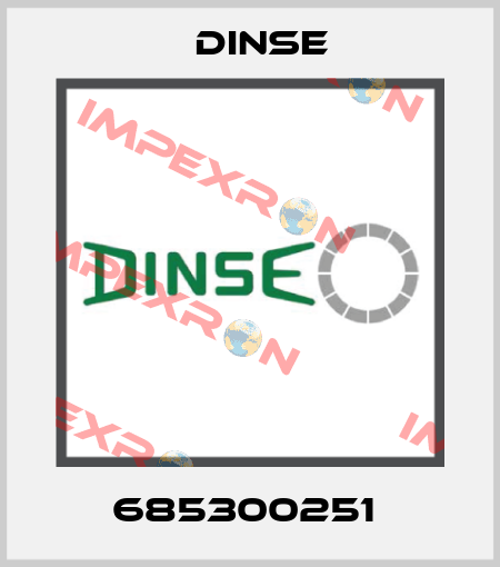 685300251  Dinse