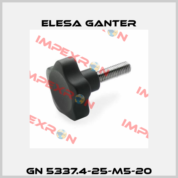 GN 5337.4-25-M5-20 Elesa Ganter