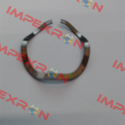 SSR-0175-S17 SMALLEY