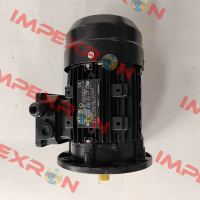 DMGL 71G2 - B5 DM Motors