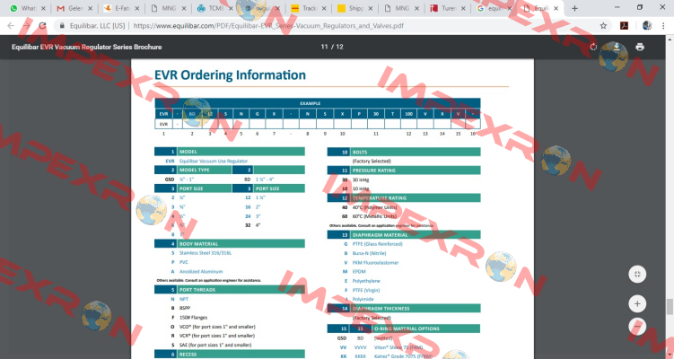 EVR- GSD6SNGX-NSX30T60FXVV Equilibar