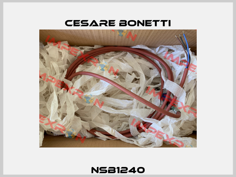 NSB1240 Cesare Bonetti