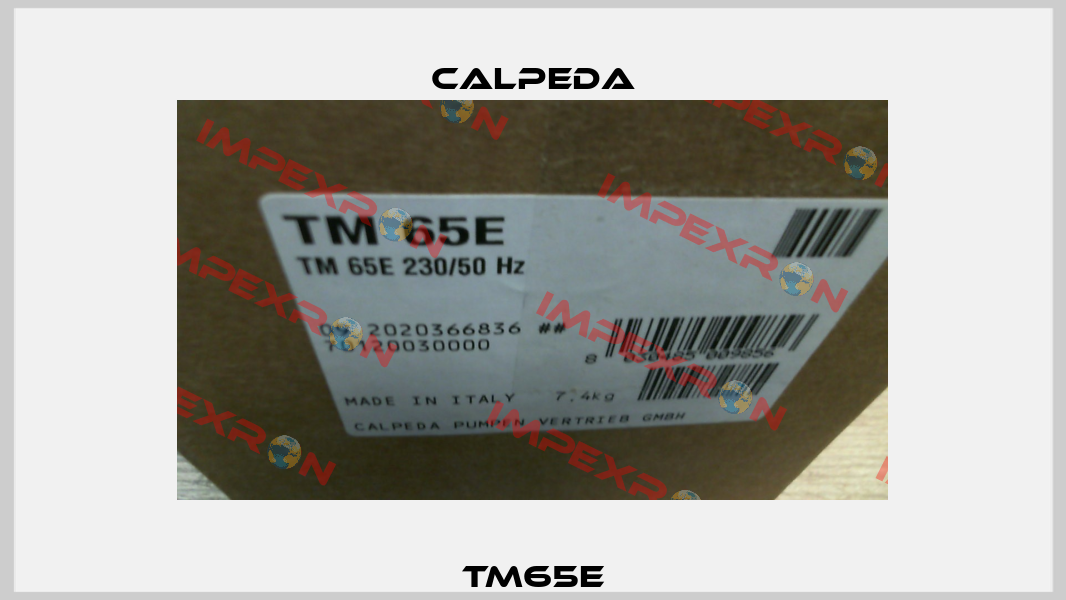 TM65E Calpeda