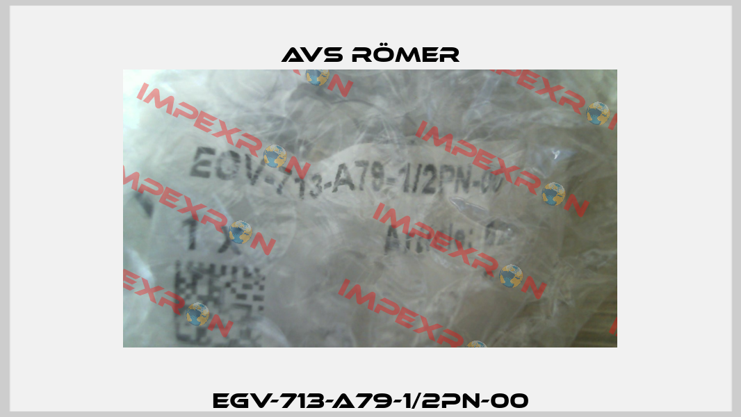 EGV-713-A79-1/2PN-00 Avs Römer