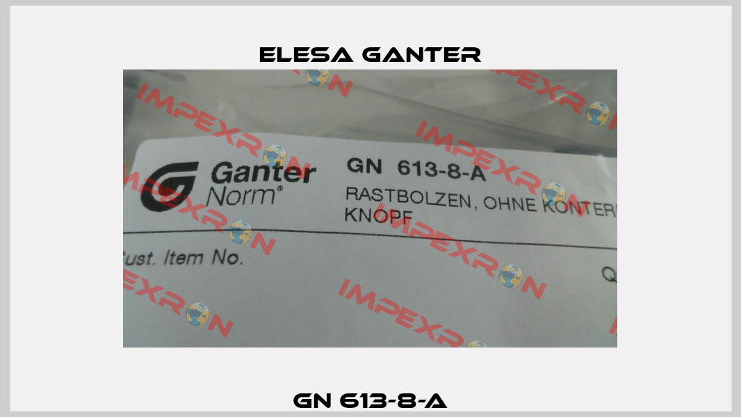 GN 613-8-A Elesa Ganter