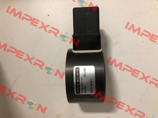 71066139 / GT-60-25S-24/V1737 ISLIKER MAGNETE
