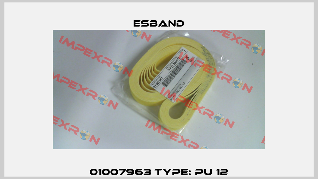 01007963 Type: PU 12 Esband
