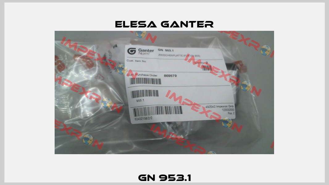 GN 953.1 Elesa Ganter