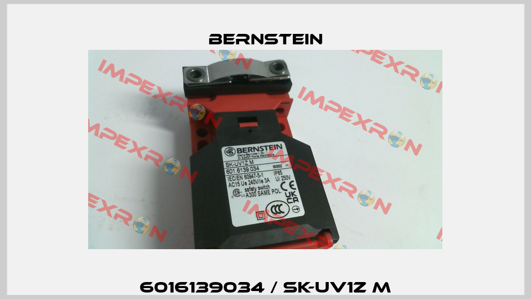 6016139034 / SK-UV1Z M Bernstein