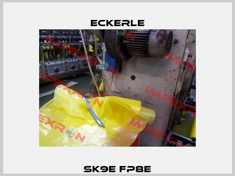 SK9E FP8E Eckerle